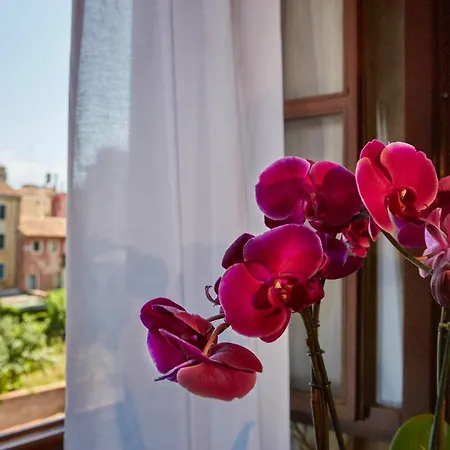 Orsaria Hotel Venice
