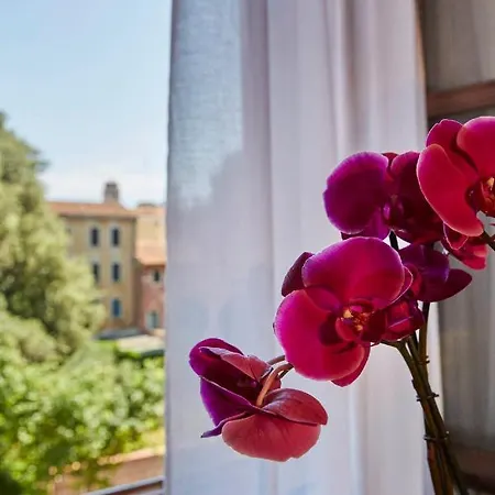 Hotel Orsaria