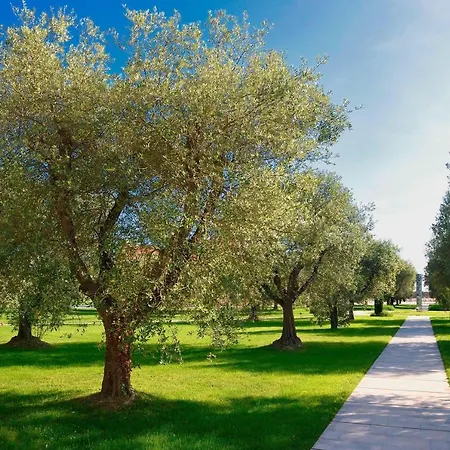 فندق وسبا جيه دبليو ماريوت البندقية