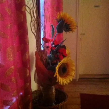 Nicevenice Bed & Breakfast *
