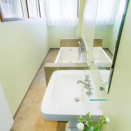 Apartment Due Leoni Terrace In St Mark's Square Venice
