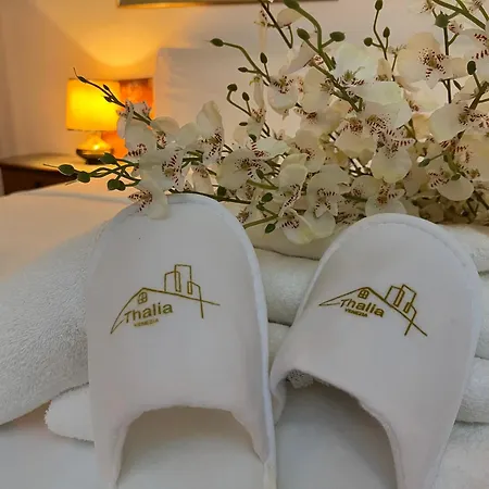 Thalia Venezia Accogliente Apartment *