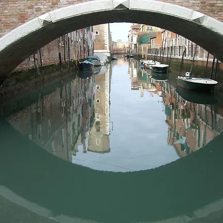 Veneziacentopercento Nicoli *