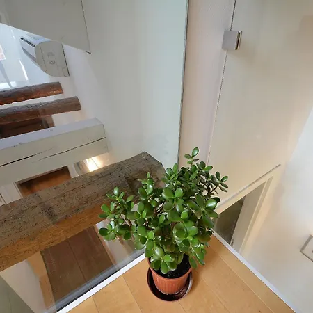 Dandolo-terrace Apartment Venice