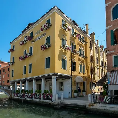 Arlecchino Venezia