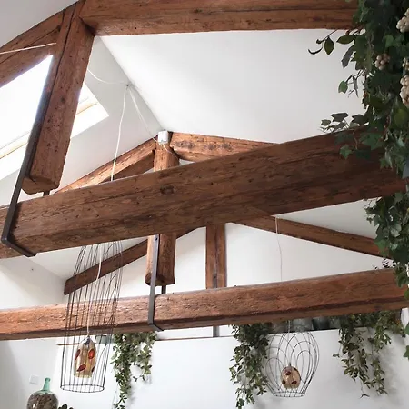 Al Pozzo Di Luce Bed & Breakfast Venice