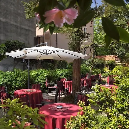 Amadeus Venice