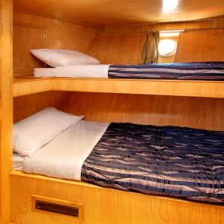 Sarah Cruise Hotel