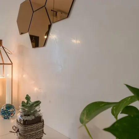 M Design Venice