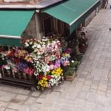 Angolo Fiorito Venice