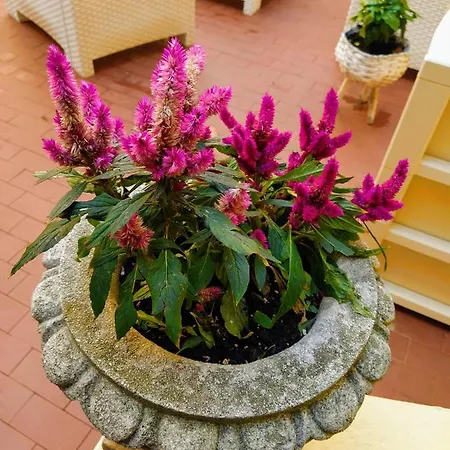 Ca'tronconi Ai Frari