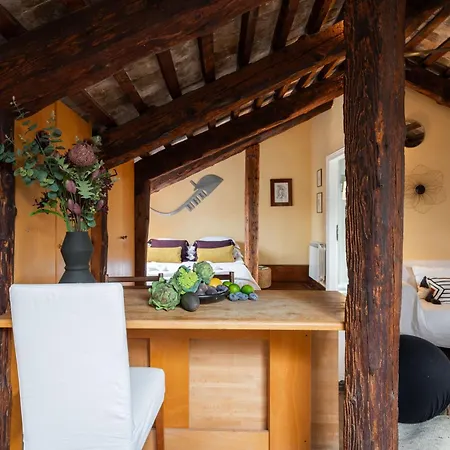 Apartment Altana Studio