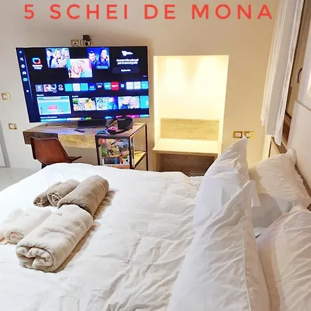 5 Schei De Mona: Venetian-style Concierge Service Venice
