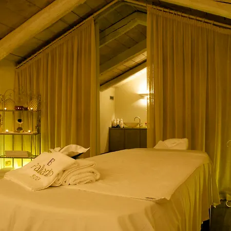 Hotel Bauer Palladio & 5*
