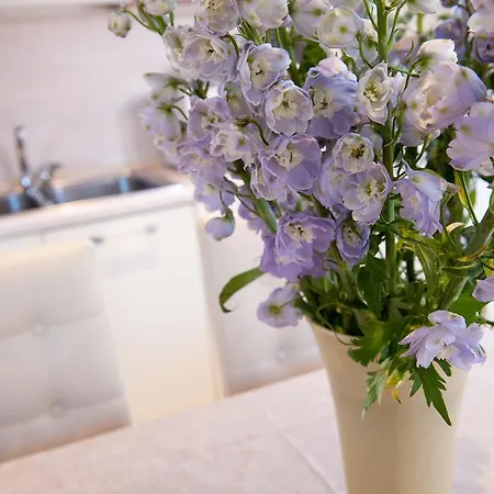 Bed & Breakfast Ca' Cappellis Venedig