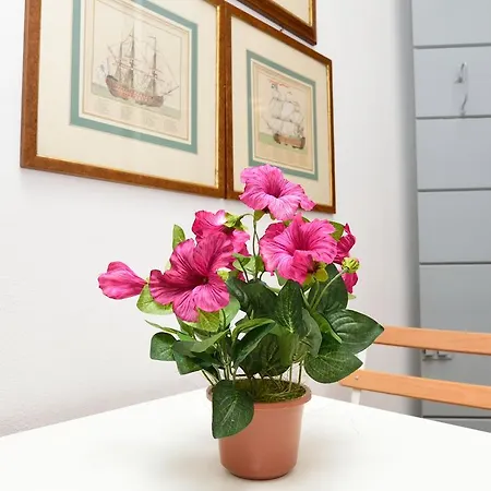 Apartment Sissi Venice