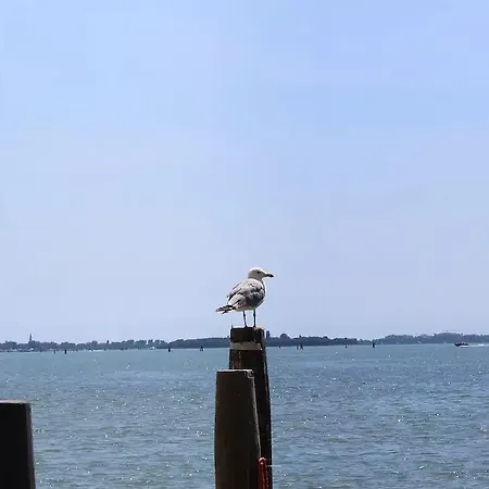 Apartment Wonderful View Over Venetian Lagoon Venice