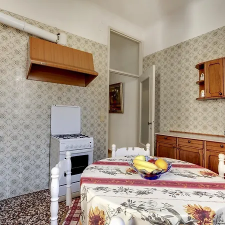Testa Venice