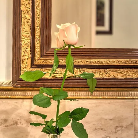 Guest house Residenza Corte Molin Venice