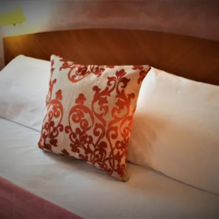 Hotel Doge 3*