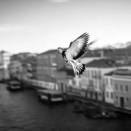 Ca' Bonfadini Historic Experience Venice