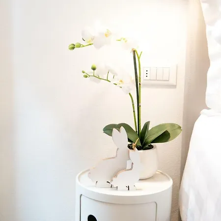 Guest house San Marco Design 2*