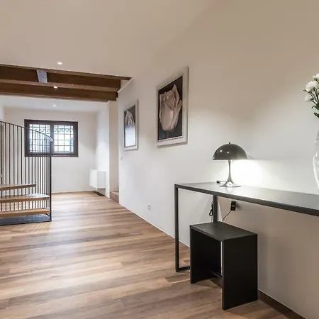 Saoner Venetian Design Apartment